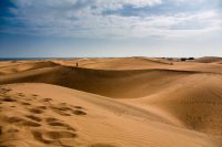 Espoir au Sahel? A quelles conditions?